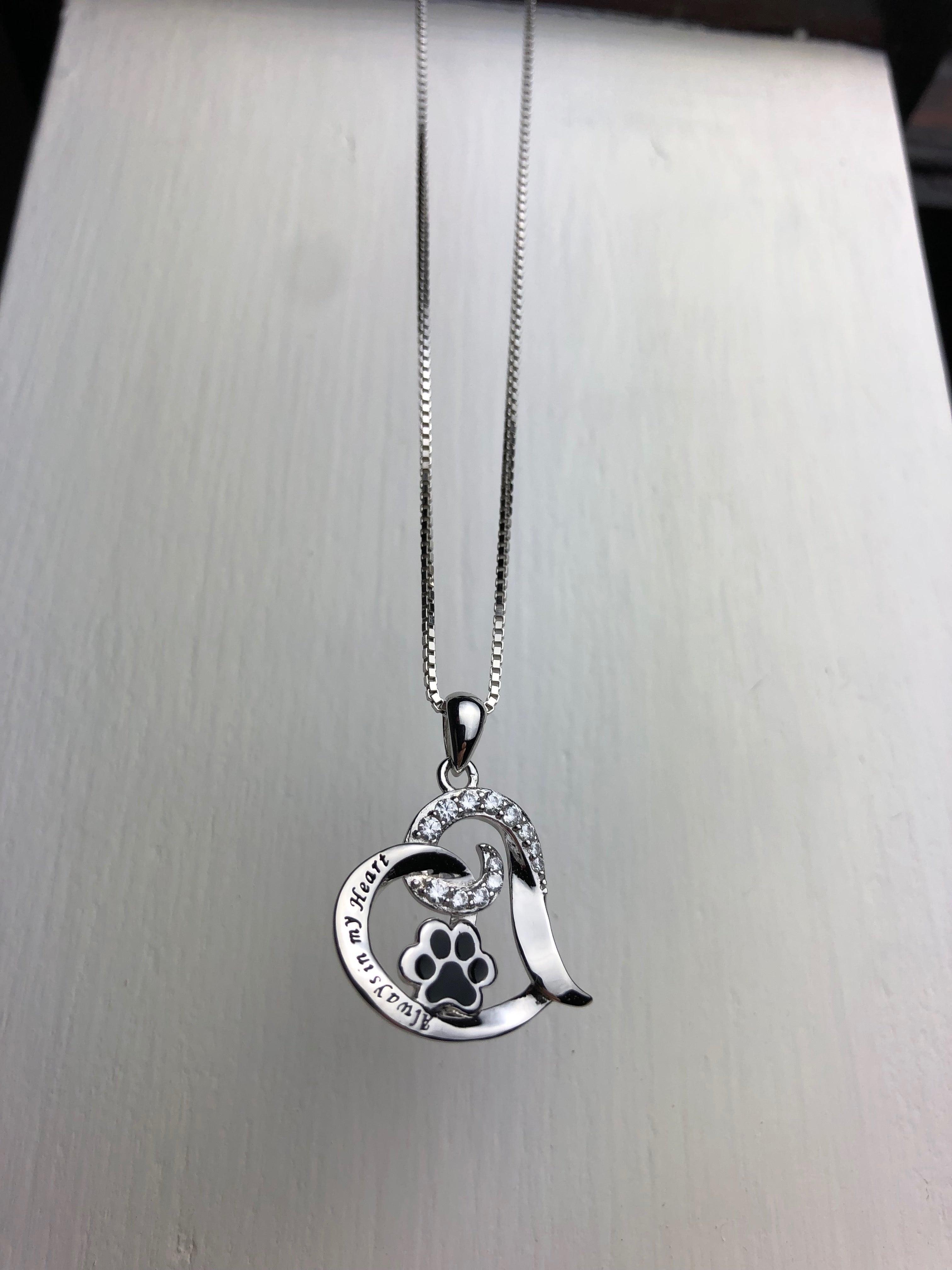 Colar Memorial Elegante para Cães – Aço Inoxidável